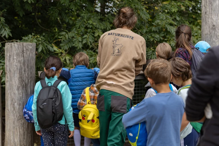 Comment devenir bénévole dans le parc animalier