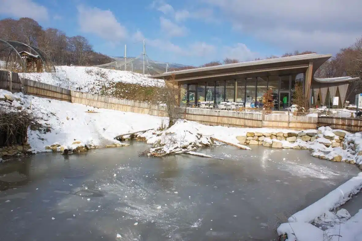 L’Actu’Garenne N°41 : Vipère, Couleuvre, Lézard et leurs amis !