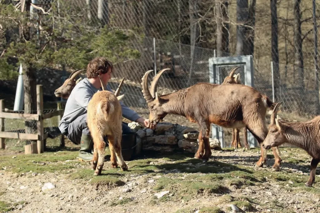 ENTRAINEMENT MÉDICAL