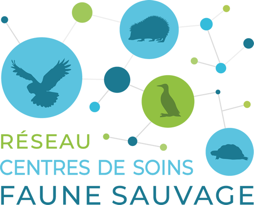 RÉSEAU DES CENTRES DE SOINS DE LA FAUNE SAUVAGE