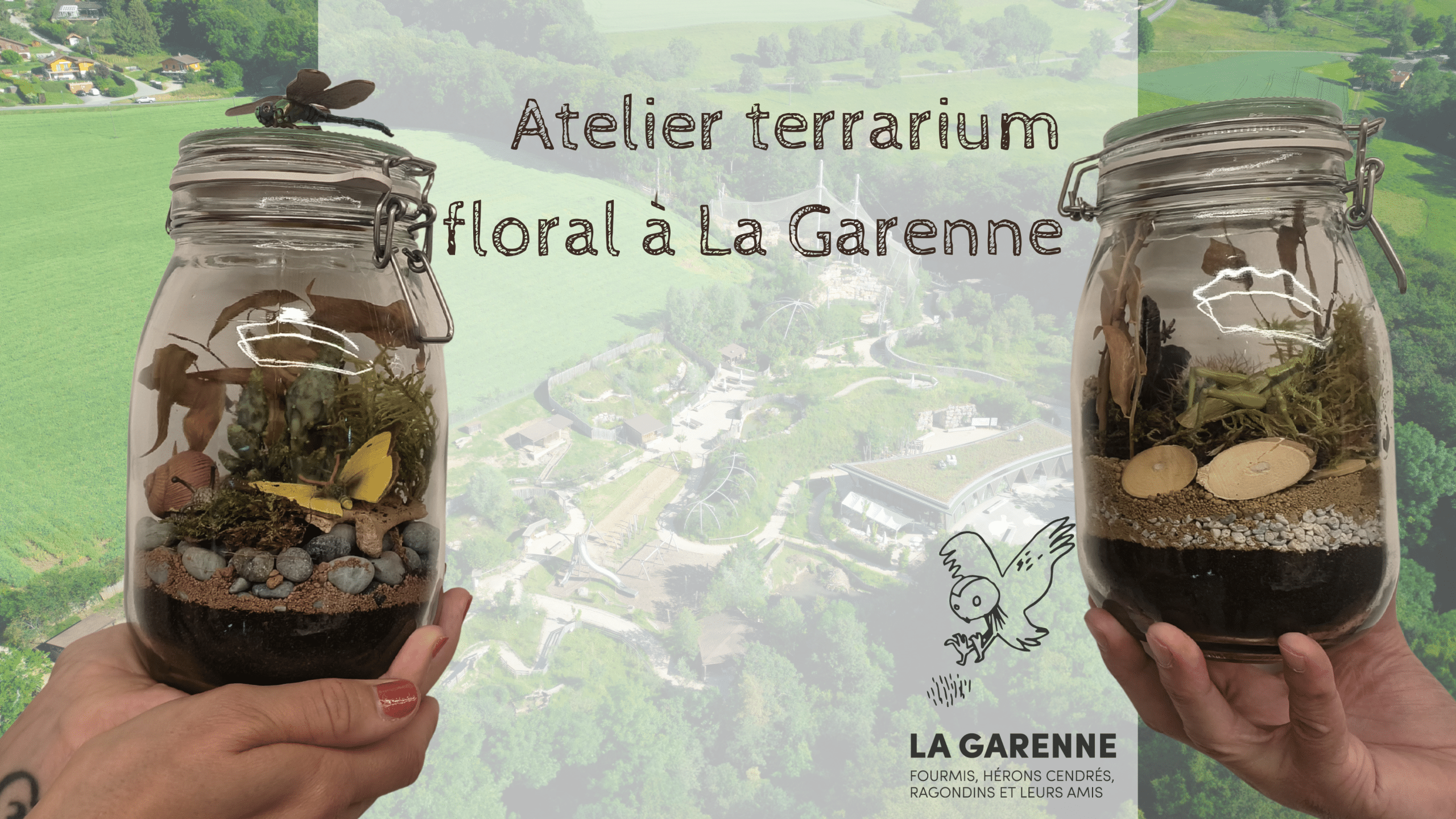 Atelier terrarium à La Garenne : concevez votre terrarium floral
